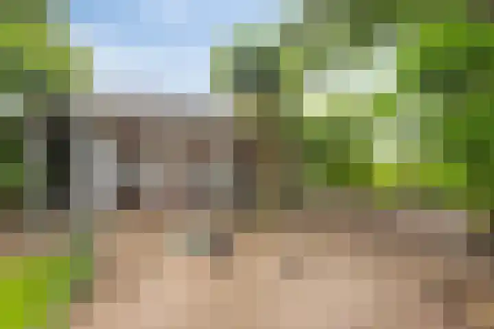 Peerakker 8 Heerewaarden thumbnail 51