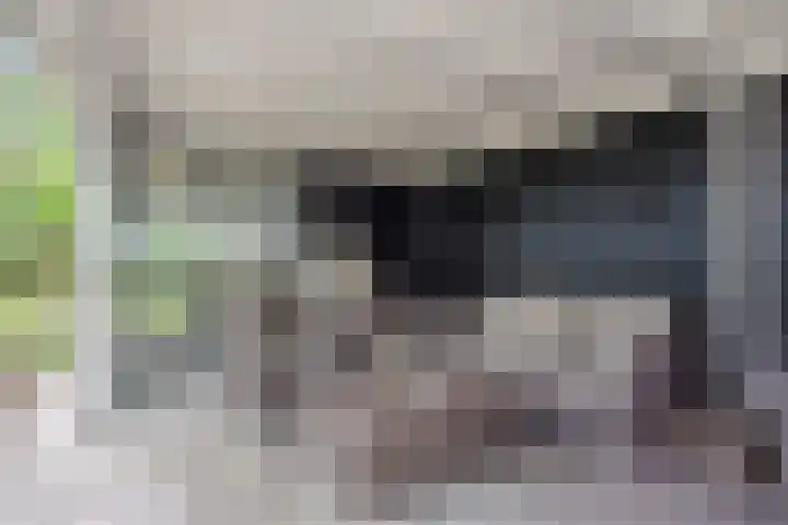 Peerakker 8 Heerewaarden thumbnail 54