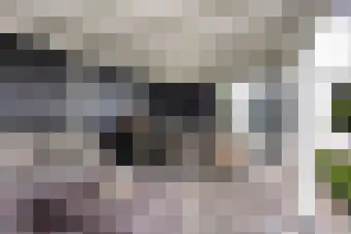 Peerakker 8 Heerewaarden thumbnail 56