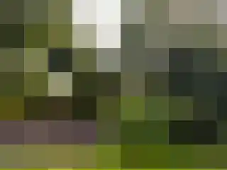 Peerakker 8 Heerewaarden thumbnail 58