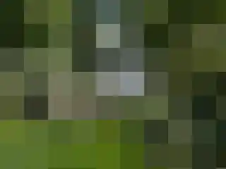 Peerakker 8 Heerewaarden thumbnail 59