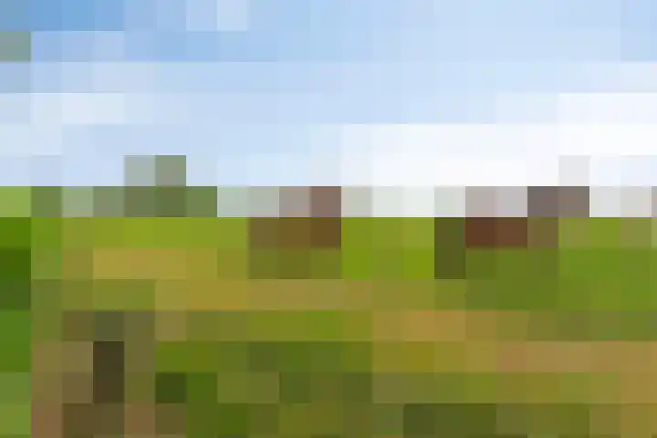 Peerakker 8 Heerewaarden thumbnail 60