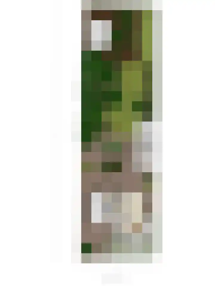 Peerakker 8 Heerewaarden thumbnail 61
