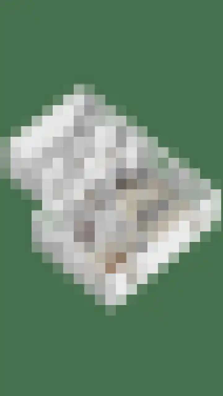 Peerakker 8 Heerewaarden thumbnail 66