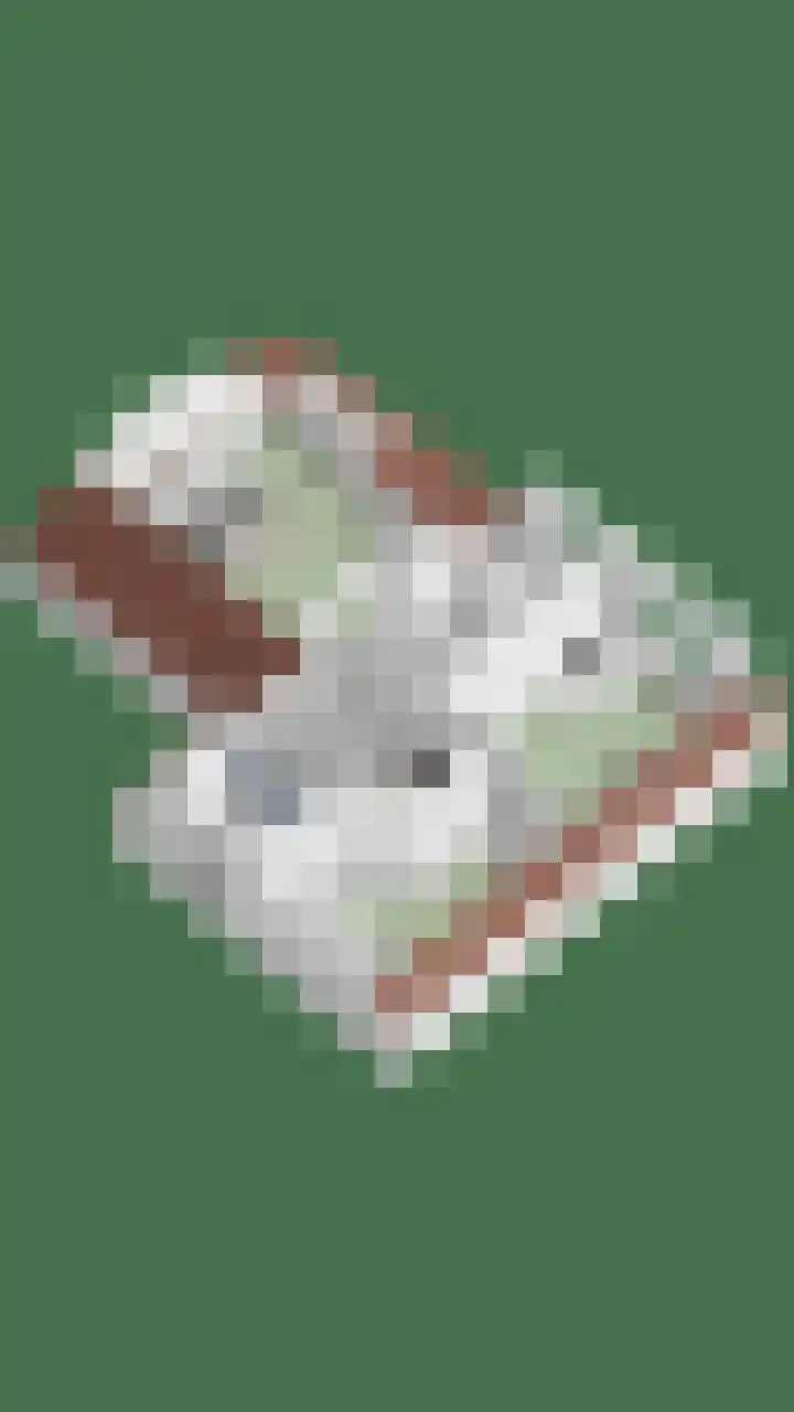 Peerakker 8 Heerewaarden thumbnail 67