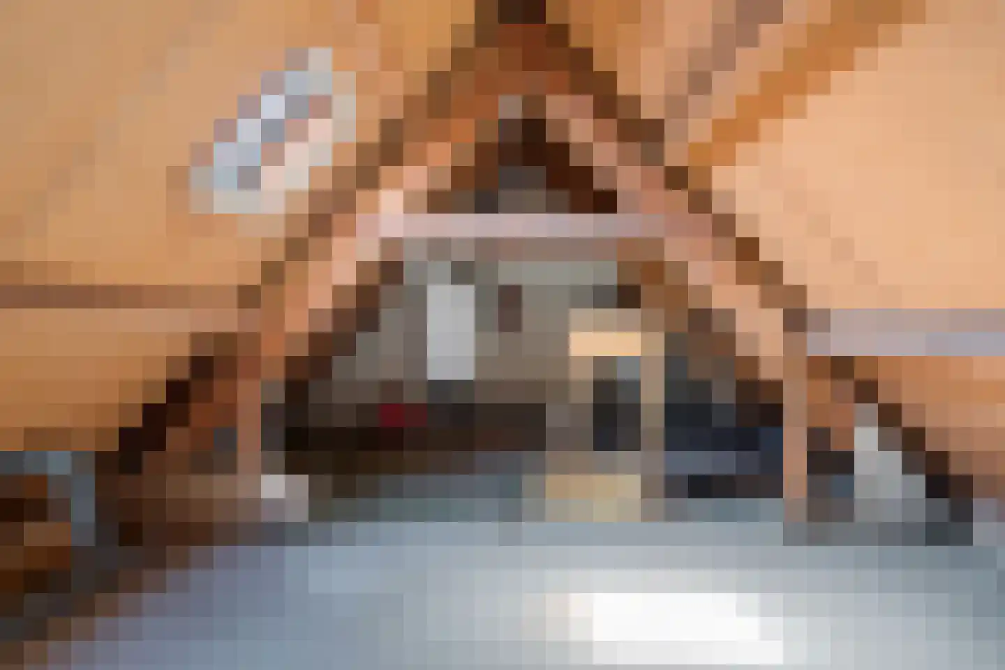 Peerdecamp 40 Monnickendam thumbnail 39