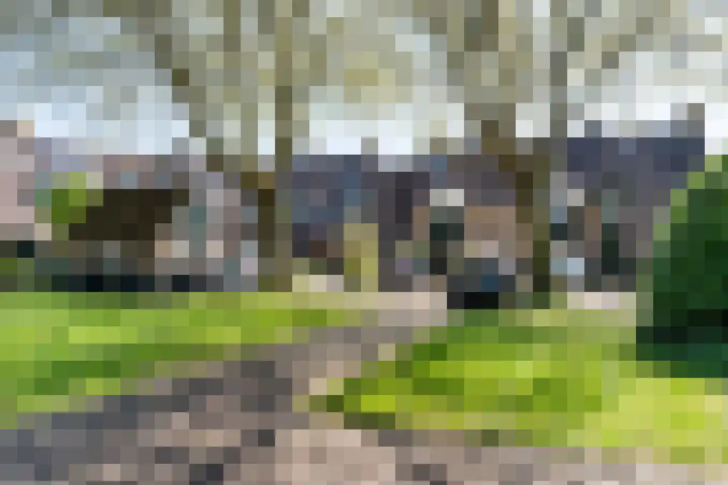 Peerdecamp 40 Monnickendam thumbnail 6
