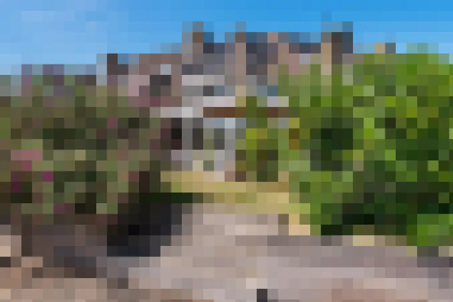 Peerdecamp 48 Monnickendam thumbnail 42