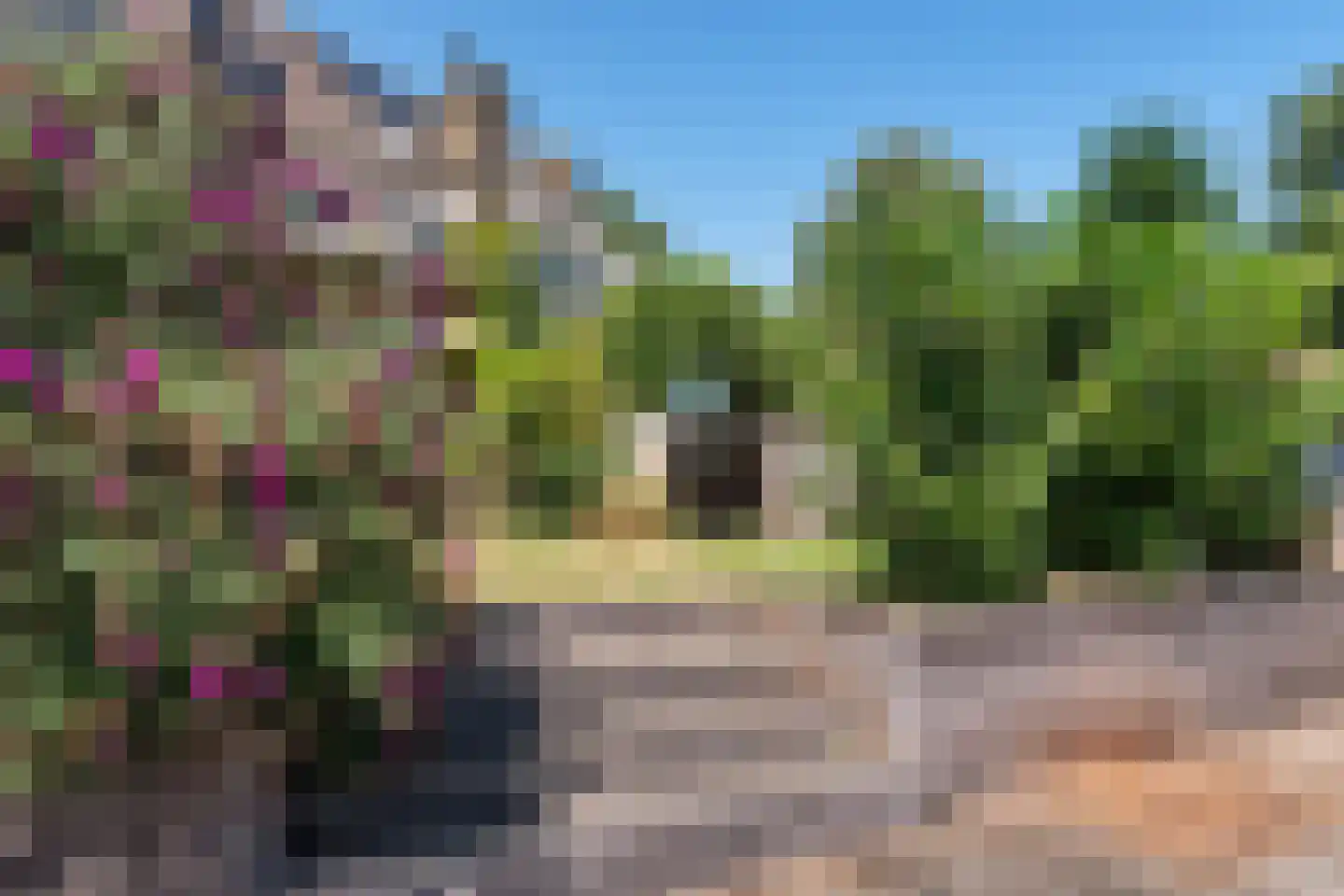 Peerdecamp 48 Monnickendam thumbnail 47