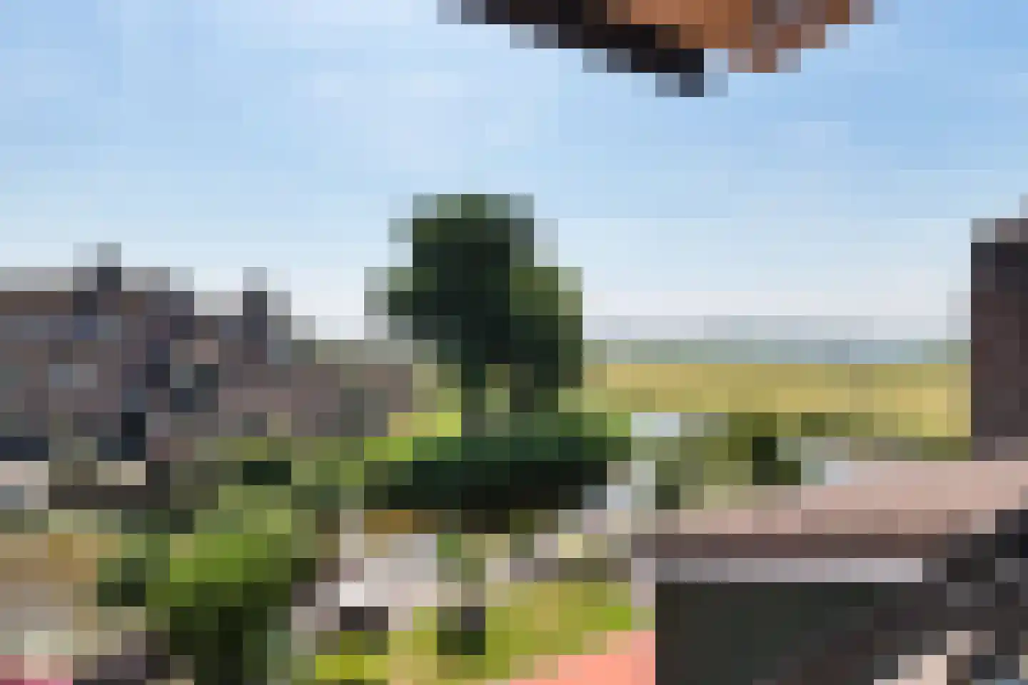 Peerdecamp 48 Monnickendam thumbnail 66