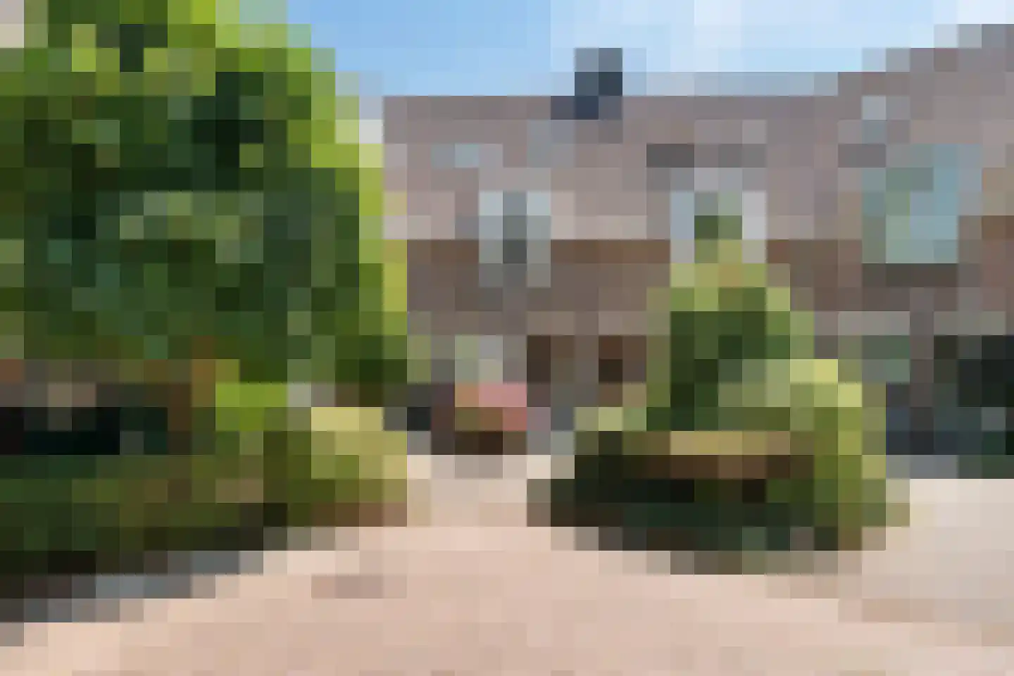 Peerdecamp 48 Monnickendam thumbnail 9