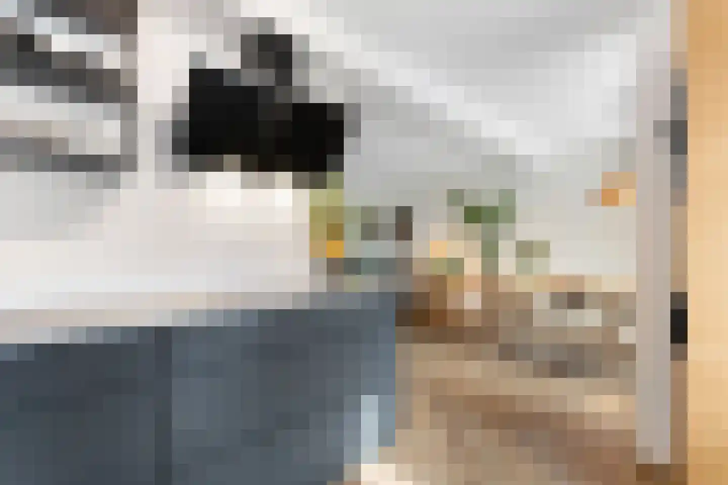 Peerdendries 31 Brunssum thumbnail 19