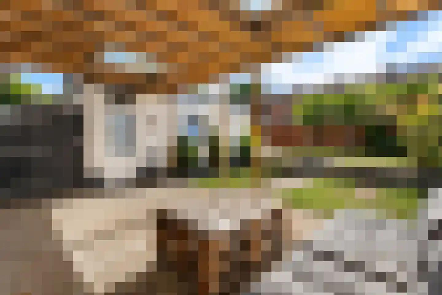 Peerdendries 31 Brunssum thumbnail 20
