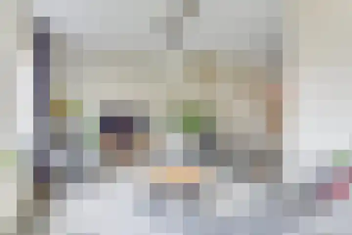 Peerdeweide 7 Alkmaar thumbnail 10