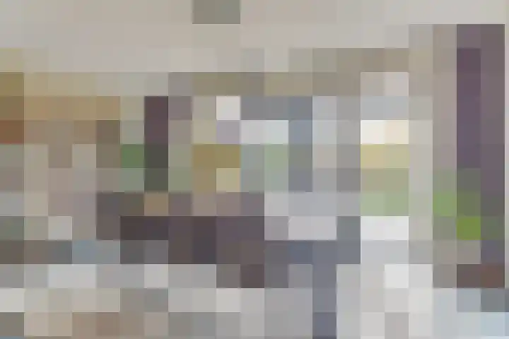 Peerdeweide 7 Alkmaar thumbnail 16