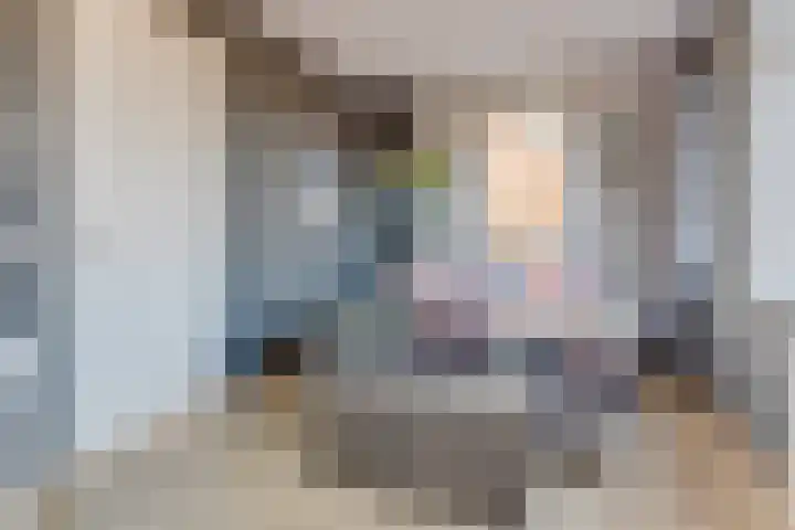 Peerdeweide 7 Alkmaar thumbnail 22