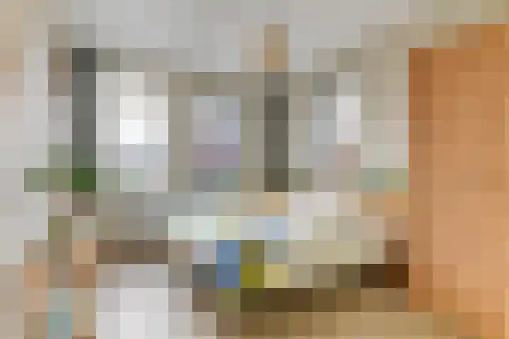 Peerdeweide 7 Alkmaar thumbnail 28