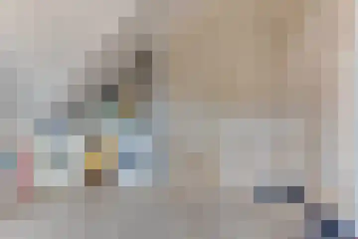 Peerdeweide 7 Alkmaar thumbnail 33