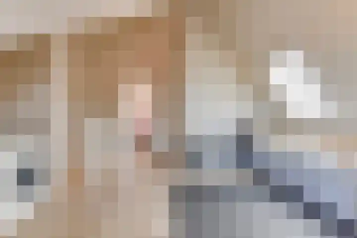 Peerdeweide 7 Alkmaar thumbnail 36