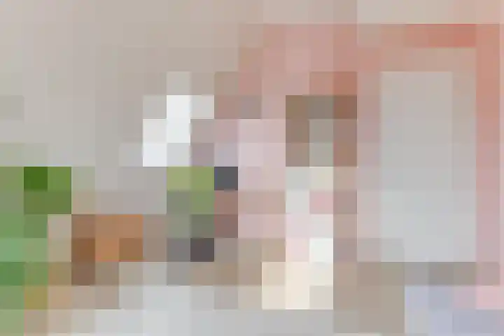 Peerdeweide 7 Alkmaar thumbnail 38