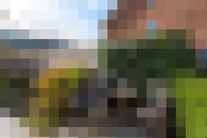 Peerdeweide 7 Alkmaar thumbnail 41