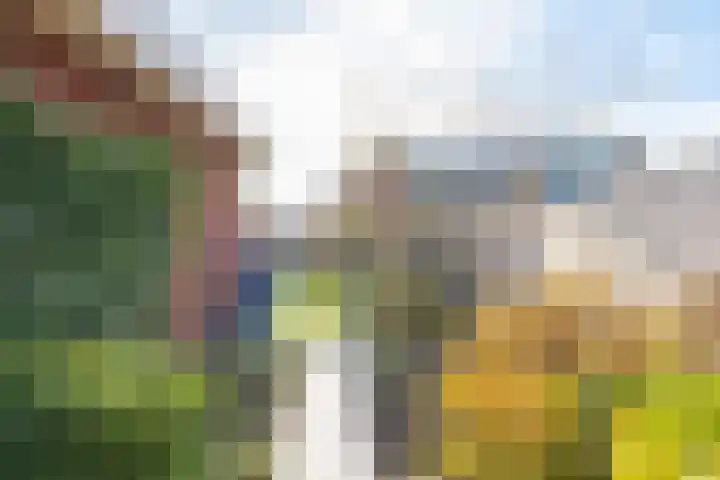 Peerdeweide 7 Alkmaar thumbnail 42