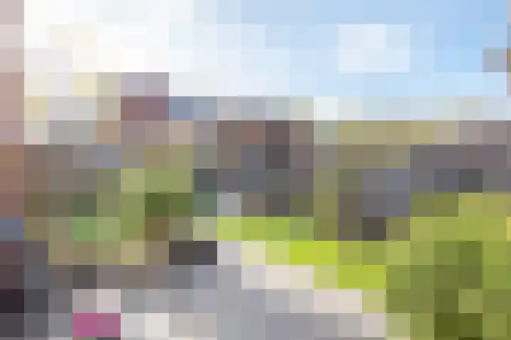Peerdeweide 7 Alkmaar thumbnail 44