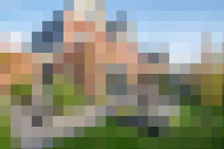 Peerdeweide 7 Alkmaar thumbnail 45