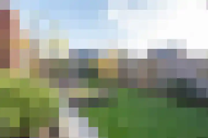 Peerdeweide 7 Alkmaar thumbnail 46