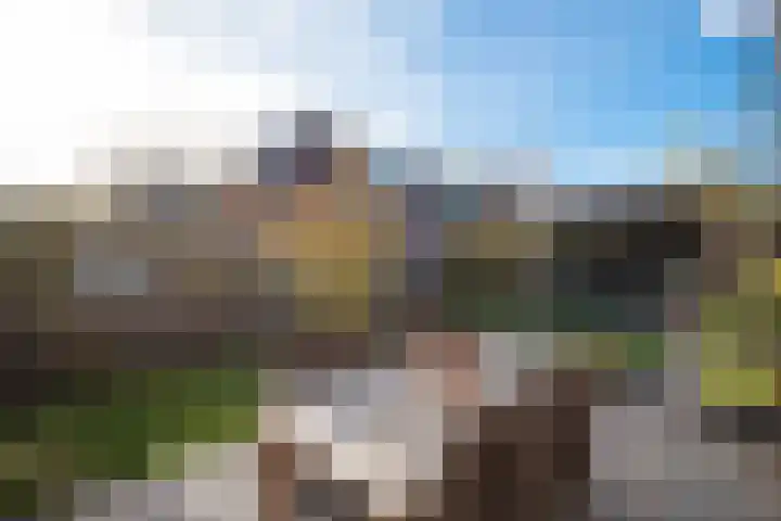 Peerdeweide 7 Alkmaar thumbnail 47
