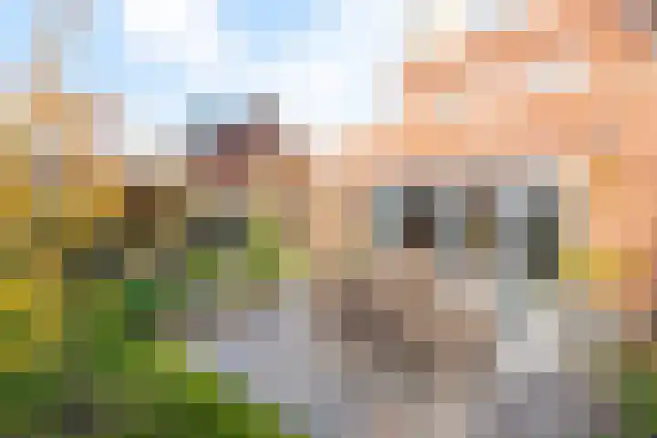 Peerdeweide 7 Alkmaar thumbnail 49