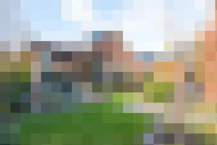 Peerdeweide 7 Alkmaar thumbnail 50