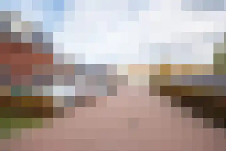 Peerdeweide 7 Alkmaar thumbnail 55