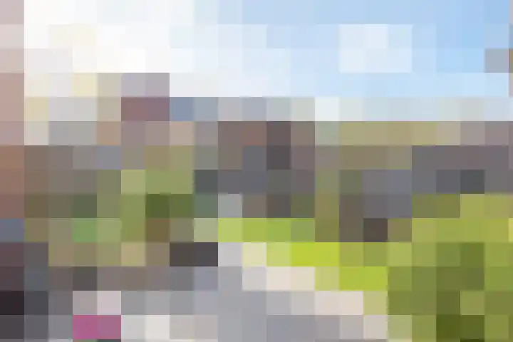 Peerdeweide 7 Alkmaar thumbnail 6