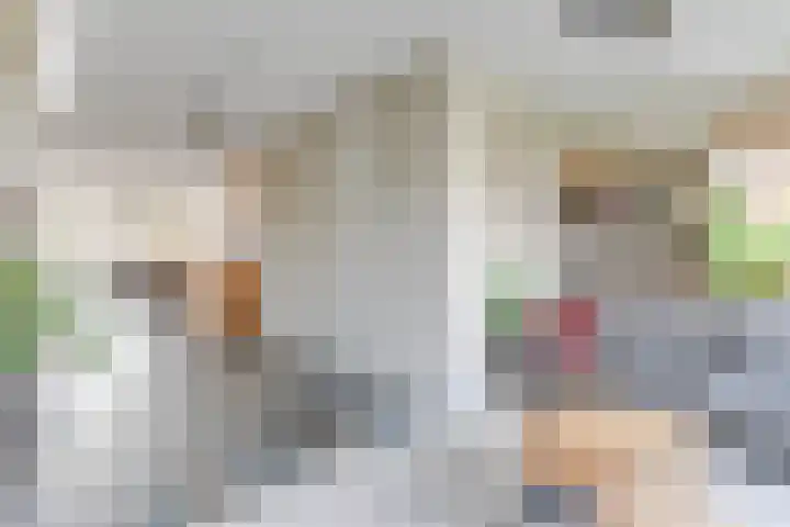 Peerdeweide 7 Alkmaar thumbnail 9