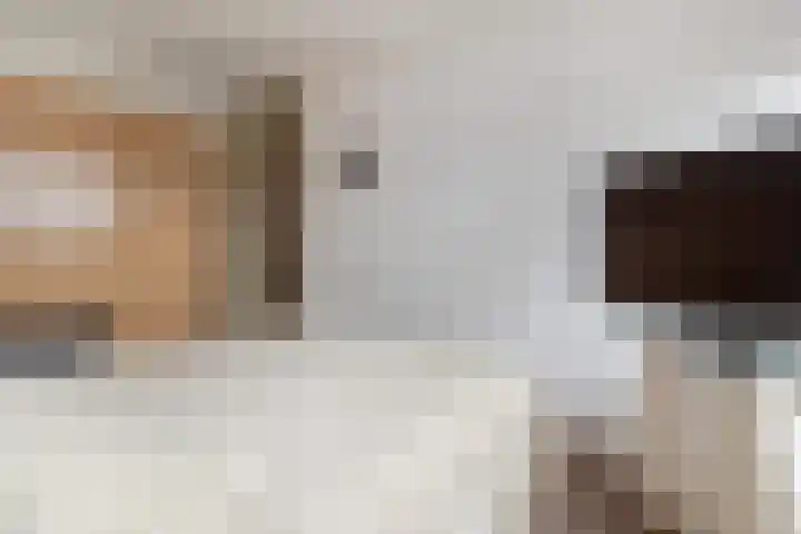 Peereboom 18 Melick thumbnail 14