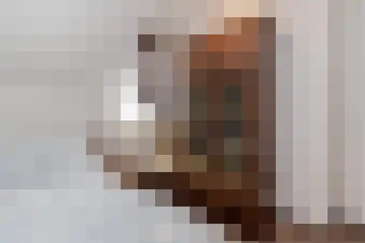 Peereboom 18 Melick thumbnail 16