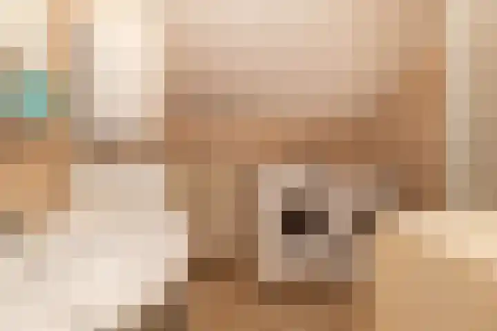 Peereboom 18 Melick thumbnail 18
