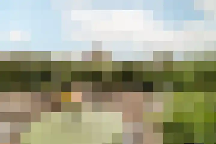 Peereboom 18 Melick thumbnail 22