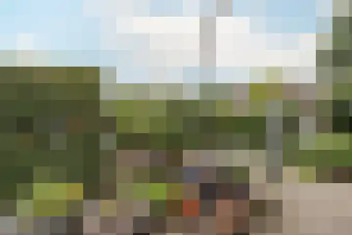 Peereboom 18 Melick thumbnail 23