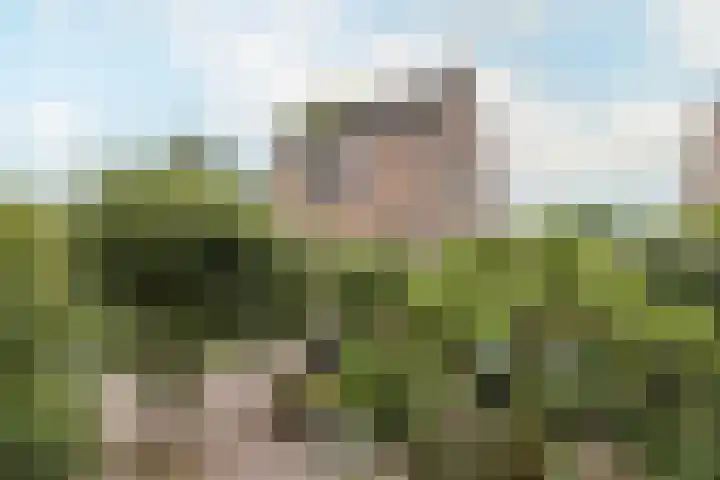 Peereboom 18 Melick thumbnail 24