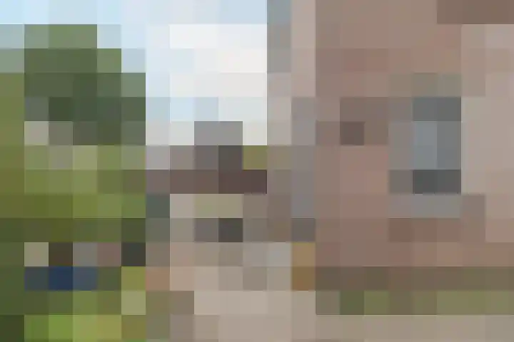 Peereboom 18 Melick thumbnail 26