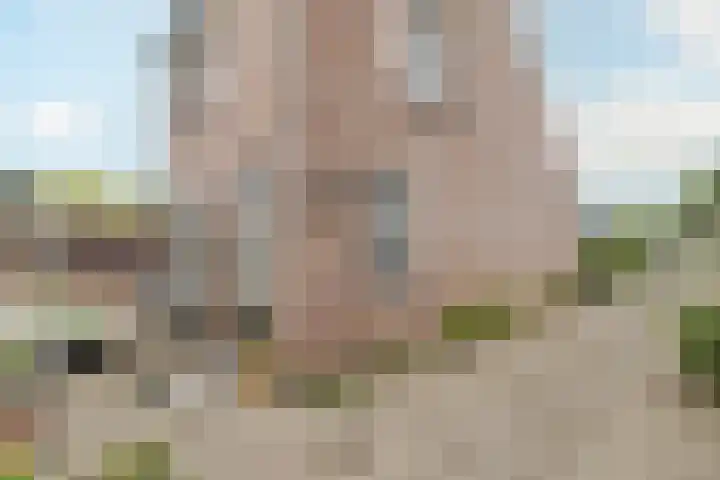 Peereboom 18 Melick thumbnail 27
