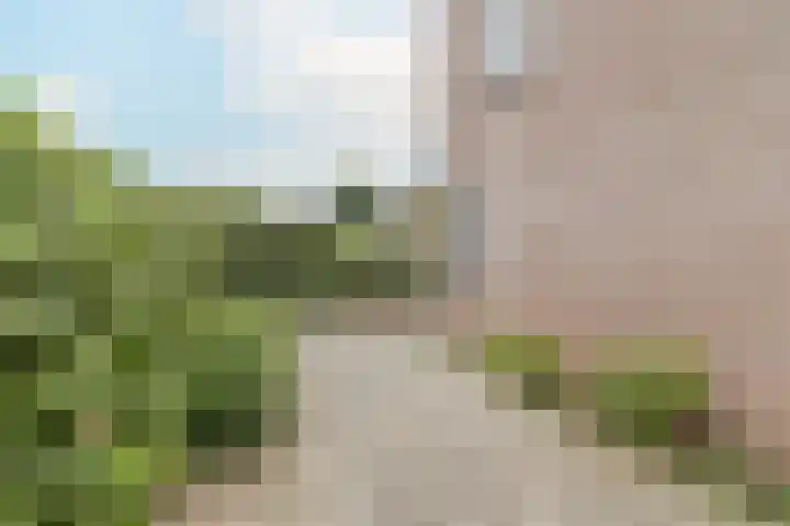 Peereboom 18 Melick thumbnail 29