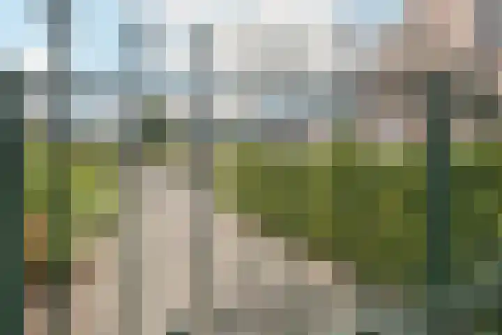 Peereboom 18 Melick thumbnail 30