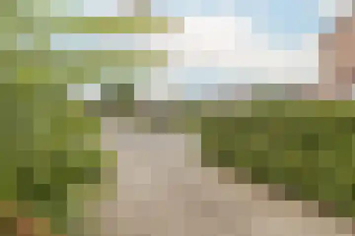 Peereboom 18 Melick thumbnail 31