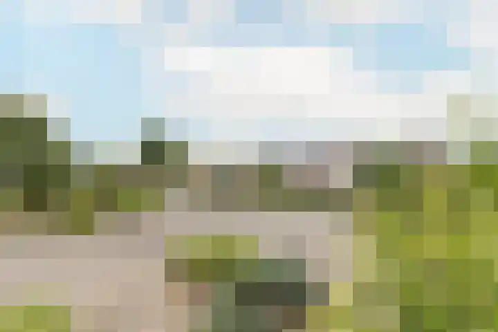 Peereboom 18 Melick thumbnail 32