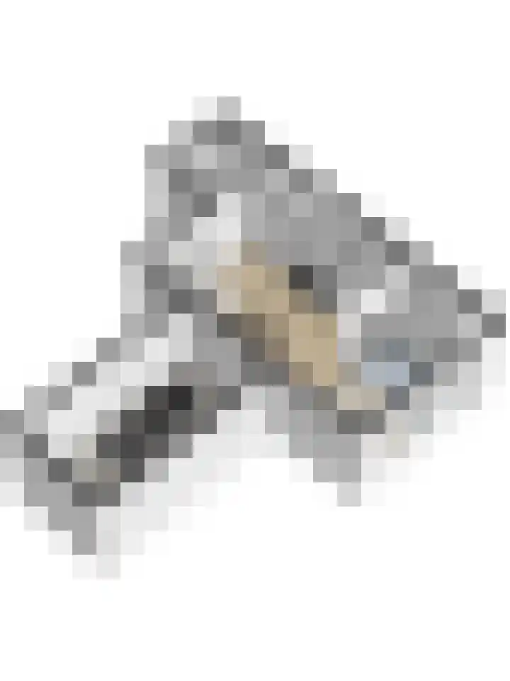 Peereboom 18 Melick thumbnail 39