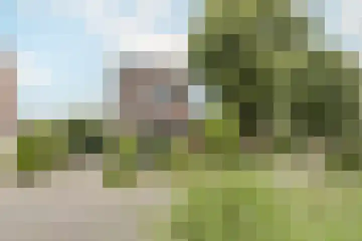 Peereboom 18 Melick thumbnail 48