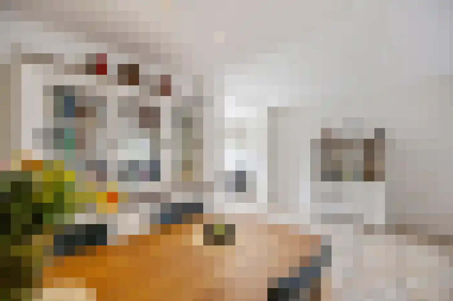 Peereboom 19 Melick thumbnail 12